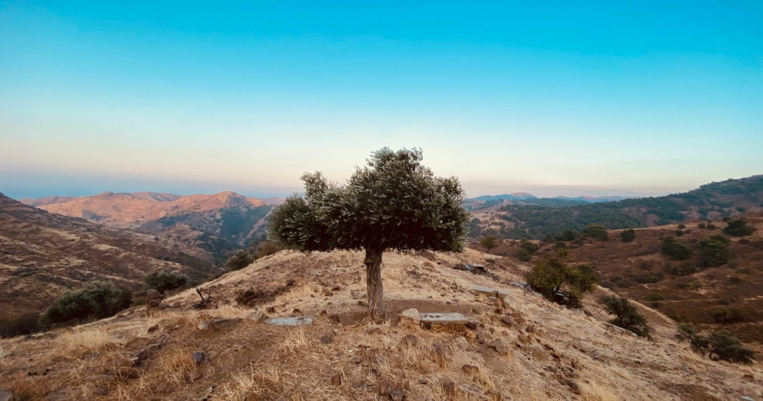 Mariou, Κύπρος